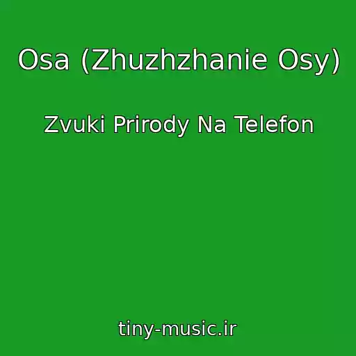 کاور آهنگ Osa (Zhuzhzhanie Osy) از Zvuki Prirody Na Telefon