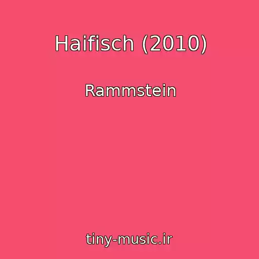 کاور آهنگ Haifisch (2010) از Rammstein