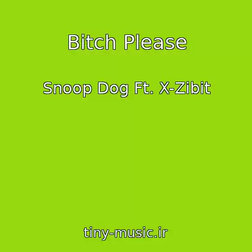 کاور آهنگ Bitch Please از Snoop Dog Ft. X-Zibit
