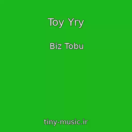 کاور آهنگ Toy Yry از Biz Tobu