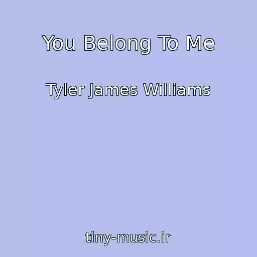کاور آهنگ You Belong To Me از Tyler James Williams