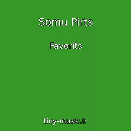 کاور آهنگ Somu Pirts از Favorits