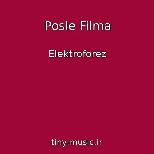 کاور آهنگ Posle Filma از Elektroforez