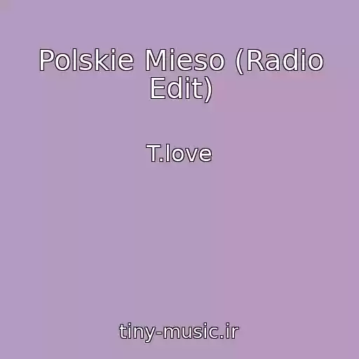 کاور آهنگ Polskie Mieso (Radio Edit) از T.love