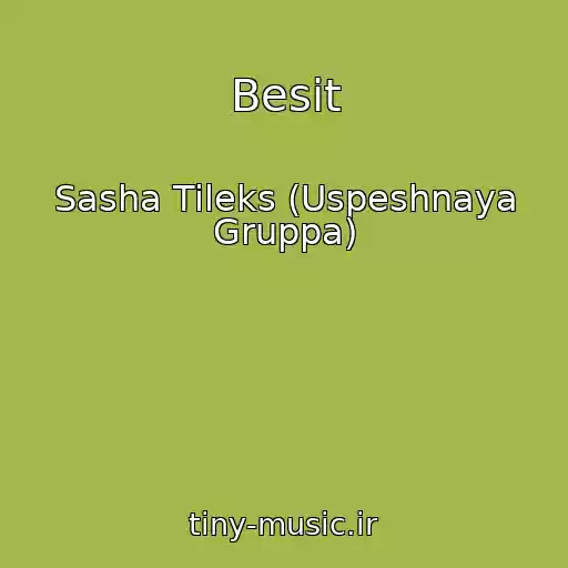 کاور آهنگ Besit از Sasha Tileks (Uspeshnaya Gruppa)