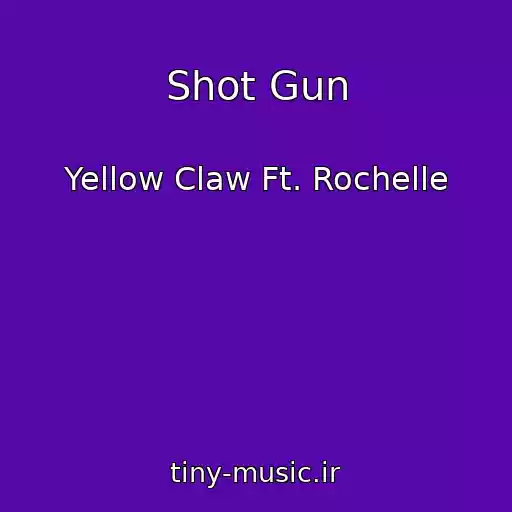 کاور آهنگ Shot Gun از Yellow Claw Ft. Rochelle