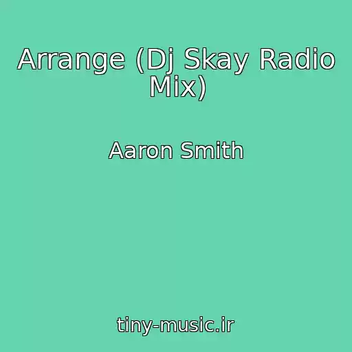 کاور آهنگ Arrange (Dj Skay Radio Mix) از Aaron Smith