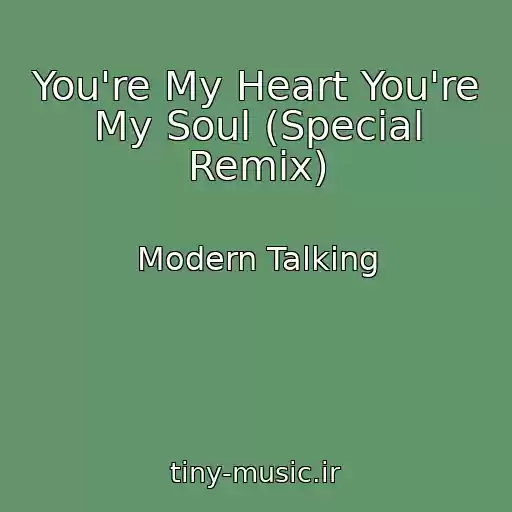 کاور آهنگ You're My Heart You're My Soul (Special Remix) از Modern Talking
