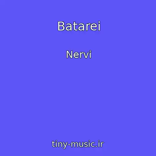 کاور آهنگ Batarei از Nervi