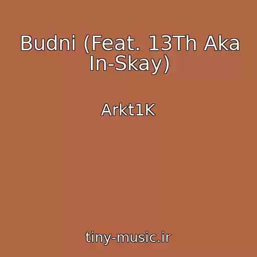 کاور آهنگ Budni (Feat. 13Th Aka In-Skay) از Arkt1K
