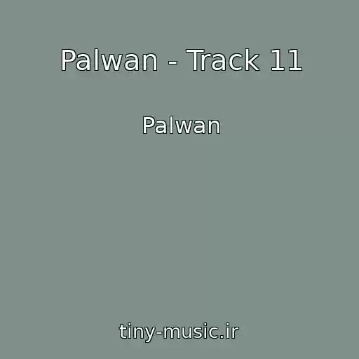 کاور آهنگ Palwan - Track 11 از Palwan