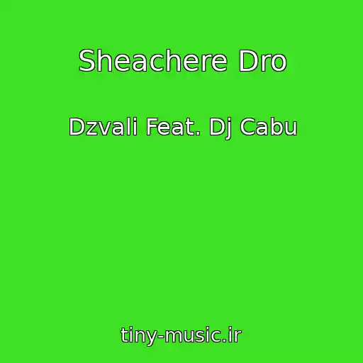 کاور آهنگ Sheachere Dro از Dzvali Feat. Dj Cabu