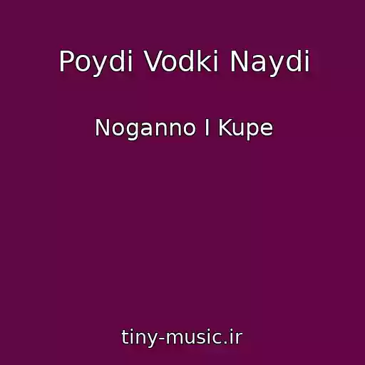 کاور آهنگ Poydi Vodki Naydi از Noganno I Kupe