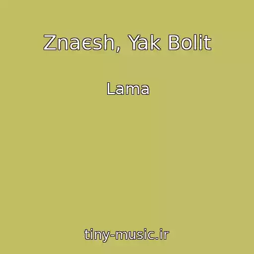 کاور آهنگ Znaєsh, Yak Bolit از Lama