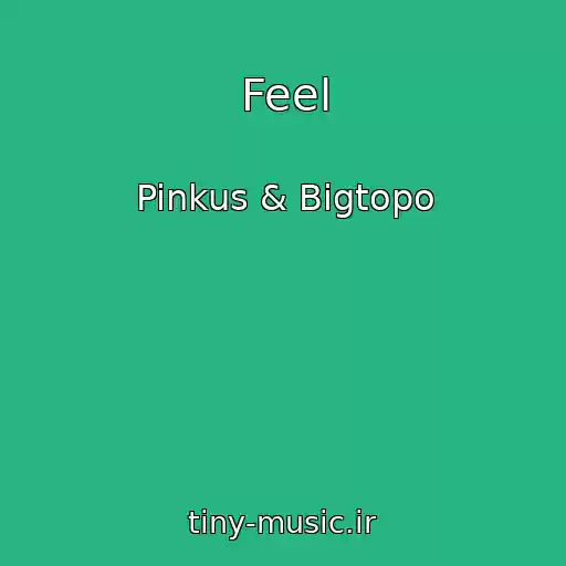 کاور آهنگ Feel از Pinkus & Bigtopo