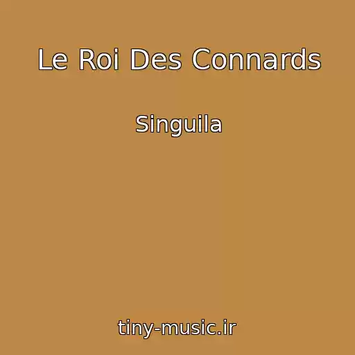 کاور آهنگ Le Roi Des Connards از Singuila