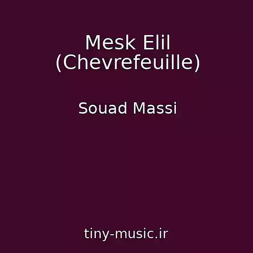 کاور آهنگ Mesk Elil (Chevrefeuille) از Souad Massi