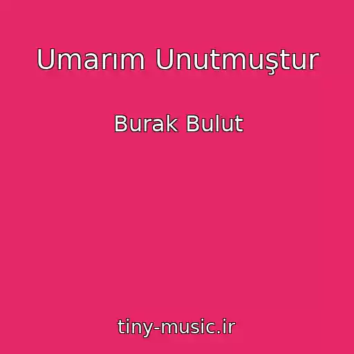 کاور آهنگ Umarım Unutmuştur از Burak Bulut
