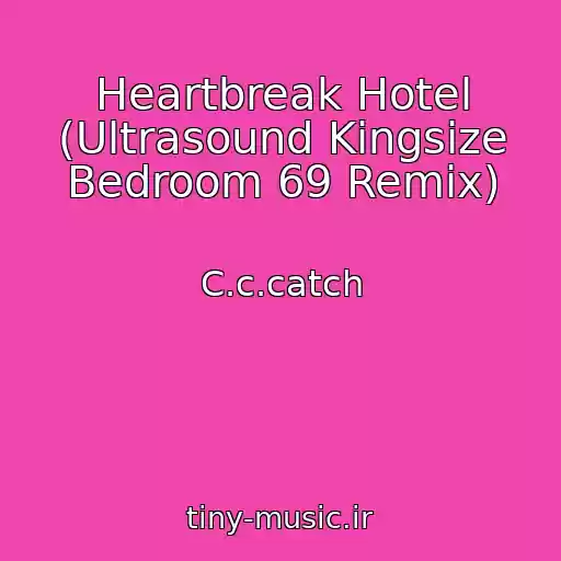 کاور آهنگ Heartbreak Hotel (Ultrasound Kingsize Bedroom 69 Remix) از C.c.catch