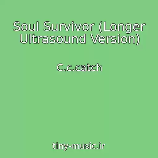 کاور آهنگ Soul Survivor (Longer Ultrasound Version) از C.c.catch