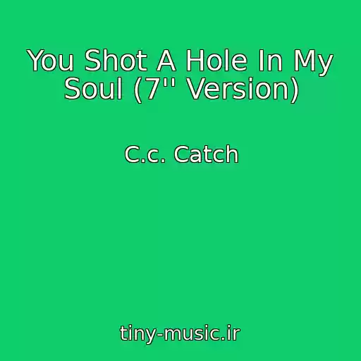 کاور آهنگ You Shot A Hole In My Soul (7'' Version) از C.c. Catch