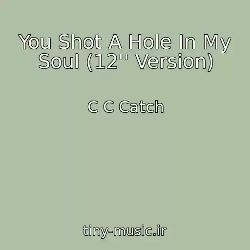 کاور آهنگ You Shot A Hole In My Soul (12'' Version) از C C Catch