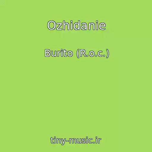 کاور آهنگ Ozhidanie از Burito (R.o.c.)