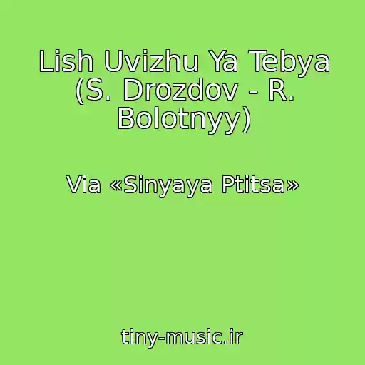 کاور آهنگ Lish Uvizhu Ya Tebya (S. Drozdov - R. Bolotnyy) از Via «Sinyaya Ptitsa»
