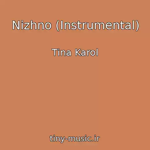 کاور آهنگ Nіzhno (Instrumental) از Tina Karol