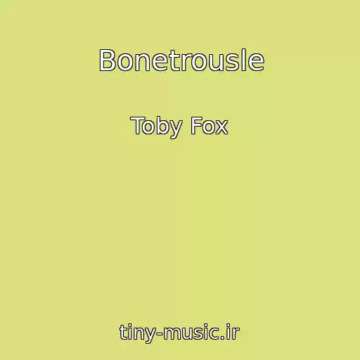 کاور آهنگ Bonetrousle از Toby Fox