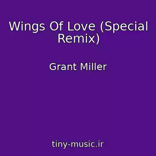 کاور آهنگ Wings Of Love (Special Remix) از Grant Miller