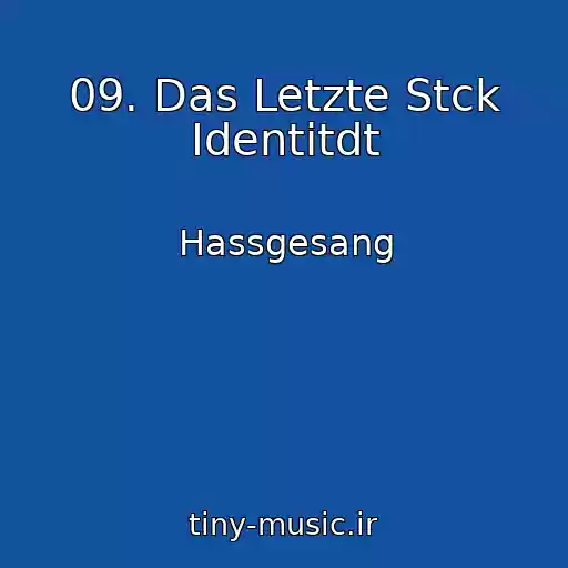 کاور آهنگ 09. Das Letzte Stck Identitdt از Hassgesang