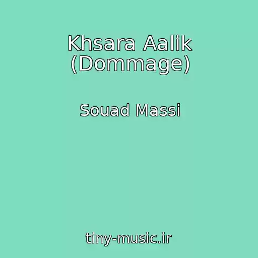 کاور آهنگ Khsara Aalik (Dommage) از Souad Massi