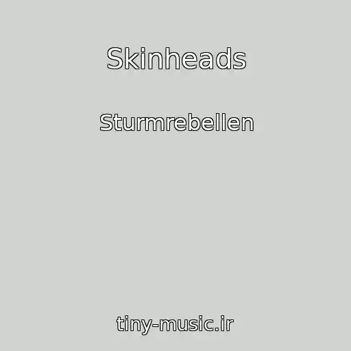 کاور آهنگ Skinheads از Sturmrebellen