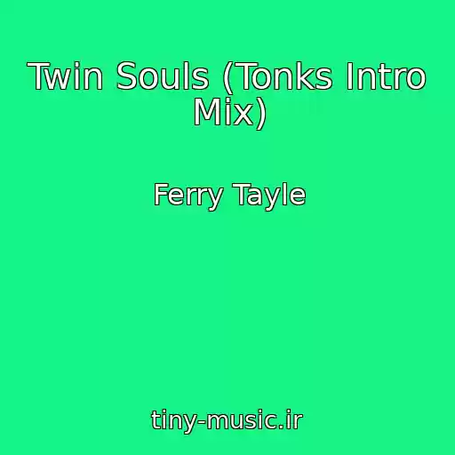 کاور آهنگ Twin Souls (Tonks Intro Mix) از Ferry Tayle