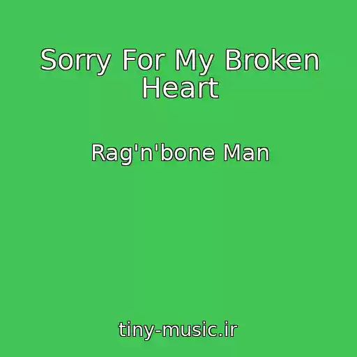 کاور آهنگ Sorry For My Broken Heart از Rag'n'bone Man