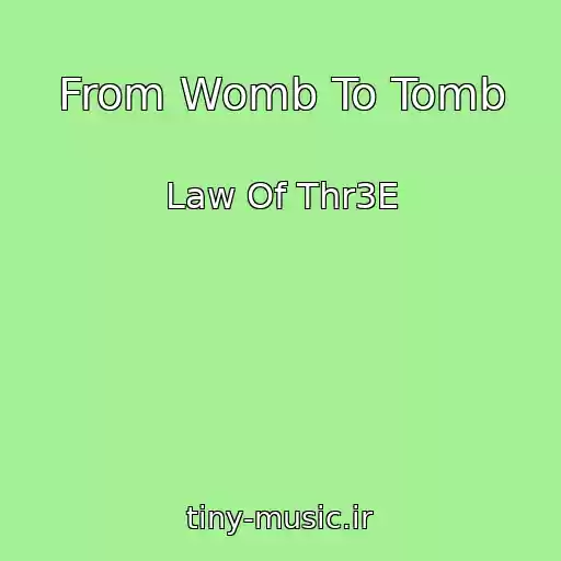کاور آهنگ From Womb To Tomb از Law Of Thr3E