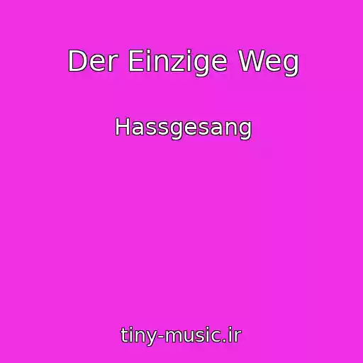 کاور آهنگ Der Einzige Weg از Hassgesang