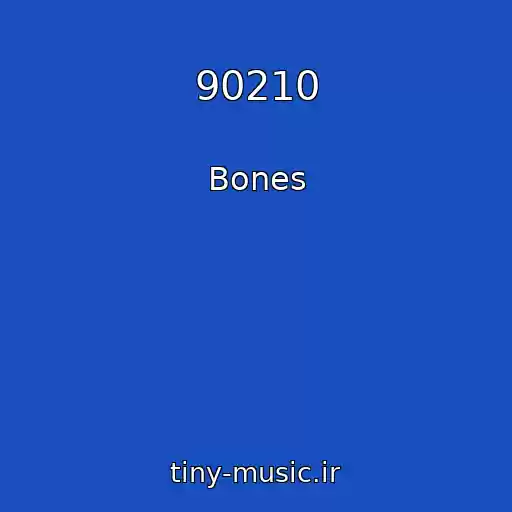 کاور آهنگ 90210 از Bones