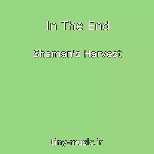 کاور آهنگ In The End از Shaman's Harvest