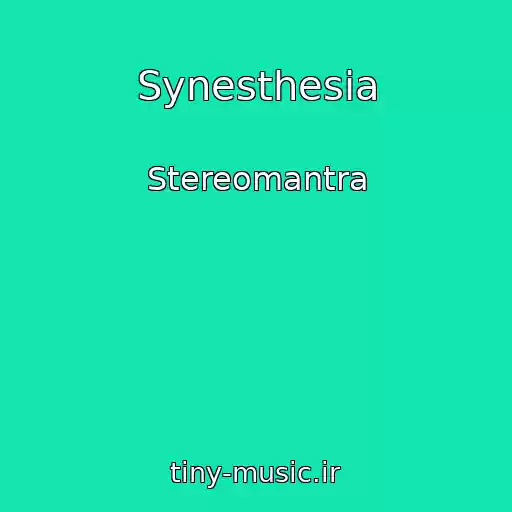 کاور آهنگ Synesthesia از Stereomantra
