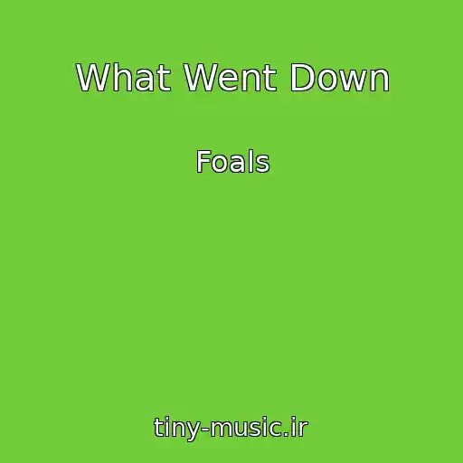 کاور آهنگ What Went Down از Foals
