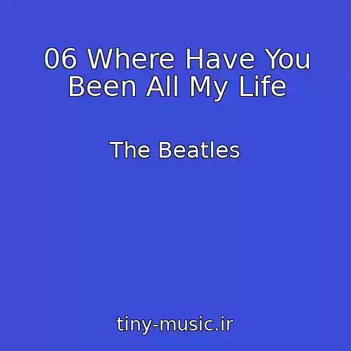 کاور آهنگ 06 Where Have You Been All My Life از The Beatles