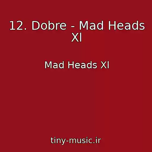 کاور آهنگ 12. Dobre - Mad Heads Xl از Mad Heads Xl