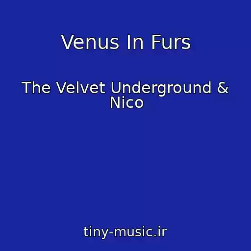 کاور آهنگ Venus In Furs از The Velvet Underground & Nico