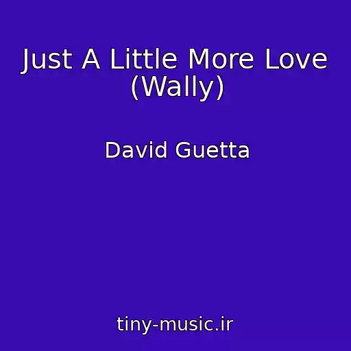 کاور آهنگ Just A Little More Love (Wally) از David Guetta