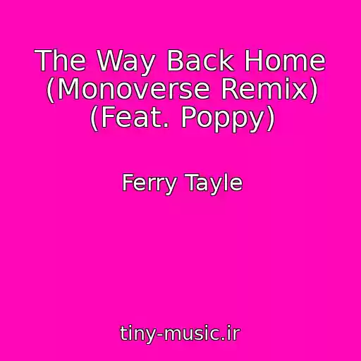 کاور آهنگ The Way Back Home (Monoverse Remix) (Feat. Poppy) از Ferry Tayle