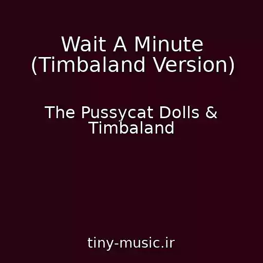 کاور آهنگ Wait A Minute (Timbaland Version) از The Pussycat Dolls & Timbaland