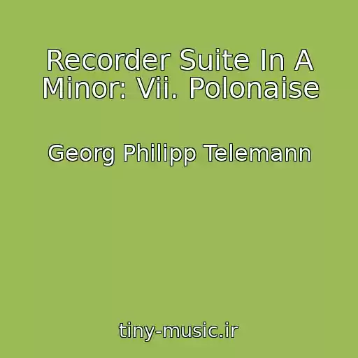 کاور آهنگ Recorder Suite In A Minor: Vii. Polonaise از Georg Philipp Telemann