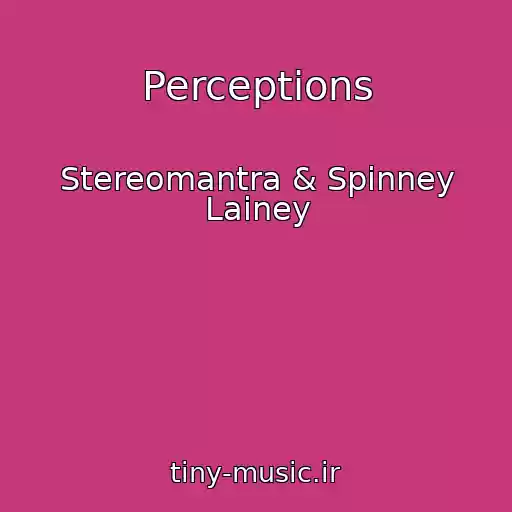 کاور آهنگ Perceptions از Stereomantra & Spinney Lainey